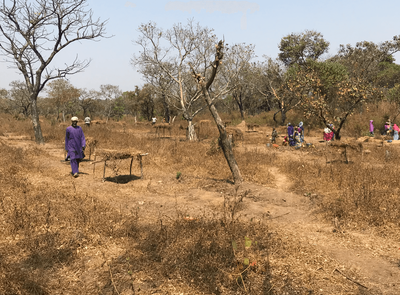 Gender and Climate Change Community Based Adaptation, through the ...